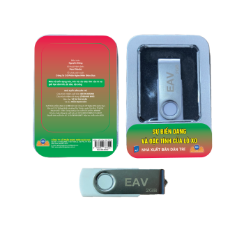 Sự biến dạng và đặc tính của lò xo